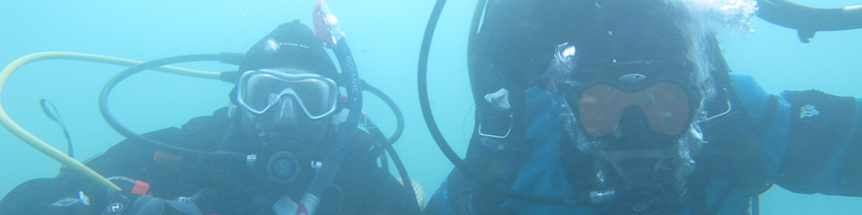 divers in the water
