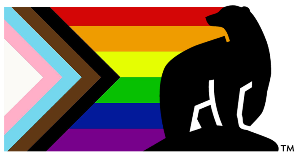 pride logo